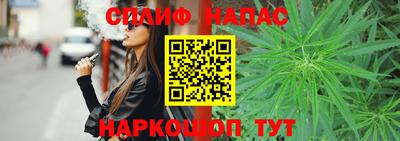 МДПВ Славгород