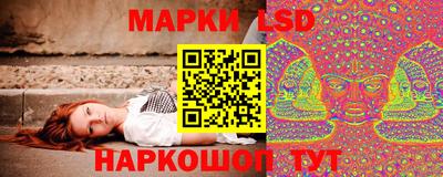 трава Сланцы