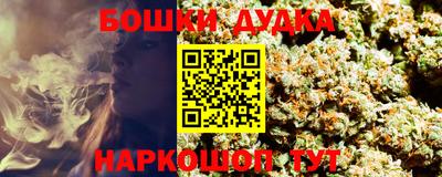 МДПВ Славгород