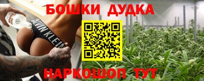 трава Сланцы