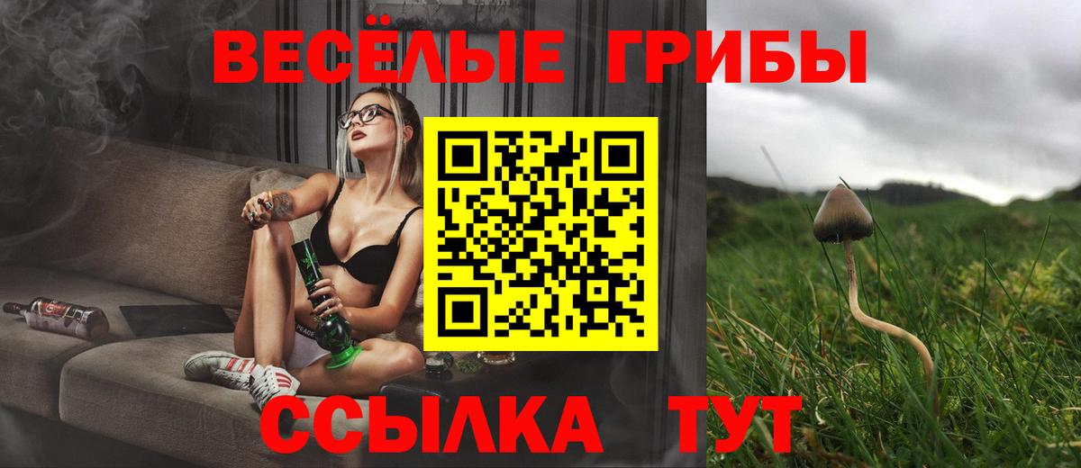 Галлюциногенные грибы мицелий Нальчик