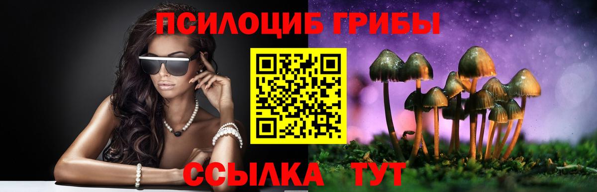 Нальчик  Галлюциногенные грибы Cubensis  Вход с VPN  Псилоцибиновые грибы Cubensis 